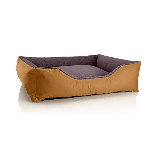 BedDog Hundebett Teddy, Hundesofa aus Cordura und Microfaser-Velours, waschbares Hundebett mit Rand, Hundekissen Vier-eckig, für drinnen, draußen, Größe XL, Gold-braun von BedDog