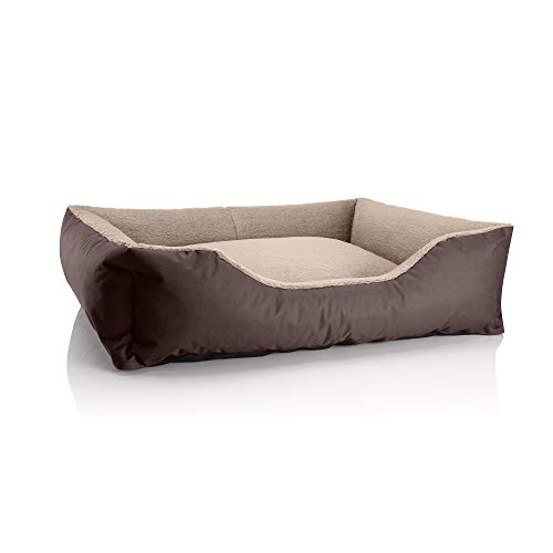 BedDog Hundebett Teddy, Hundesofa aus Cordura und Microfaser-Velours, waschbares Hundebett mit Rand, Hundekissen Vier-eckig, für drinnen, draußen, Größe XL, braun-beige von BedDog