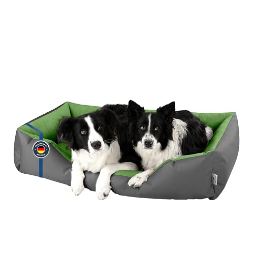 BedDog® Hundebett LUPI, Hundesofa aus Cordura, Microfaser-Velours, waschbares Hundebett mit Rand, Hundekissen Vier-eckig, für drinnen, draußen, XXL, Green-Rock, grau-grün von BedDog