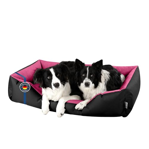 BedDog Hundebett XXL - Hundekissen - Hundekorb - Hundecouch - Hundesofa - Bezug abziehbar, Waschbar, für Mittel-Große Hunde von BedDog