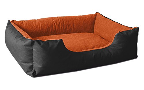 BedDog Hundebett M - Hundekissen - Hundekorb - Hundecouch - Hundesofa - Bezug abziehbar, Waschbar, für Kleine Hunde von BedDog