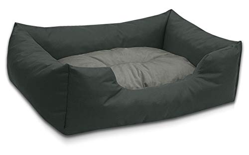 BedDog Hundebett Mimi, Hundesofa aus Cordura, Microfaser-Velours, waschbares Hundebett Vier-eckig mit Rand, Hundekissen für drinnen, draußen, L, grau von BedDog