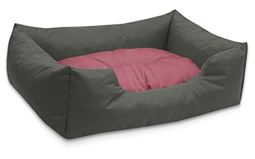 BedDog Hundebett Mimi, Hundesofa aus Cordura, Microfaser-Velours, waschbares Hundebett Vier-eckig mit Rand, Hundekissen für drinnen, draußen, L, grau-Rose von BedDog