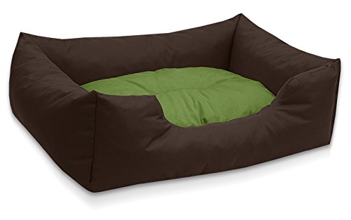 BedDog Hundebett Mimi, Hundesofa aus Cordura, Microfaser-Velours, waschbares Hundebett Vier-eckig mit Rand, Hundekissen für drinnen, draußen, M, braun-grün von BedDog