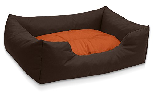 BedDog Hundebett Mimi, Hundesofa aus Cordura, Microfaser-Velours, waschbares Hundebett Vier-eckig mit Rand, Hundekissen für drinnen, draußen, M, braun-orange von BedDog