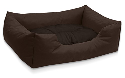 BedDog Hundebett Mimi, Hundesofa aus Cordura, Microfaser-Velours, waschbares Hundebett Vier-eckig mit Rand, Hundekissen für drinnen, draußen, M, braun von BedDog