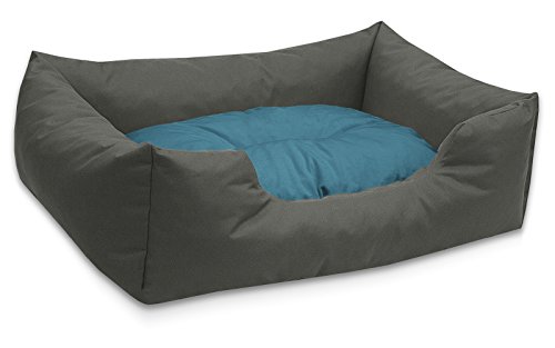 BedDog Hundebett Mimi, Hundesofa aus Cordura, Microfaser-Velours, waschbares Hundebett Vier-eckig mit Rand, Hundekissen für drinnen, draußen, M, grau-blau von BedDog