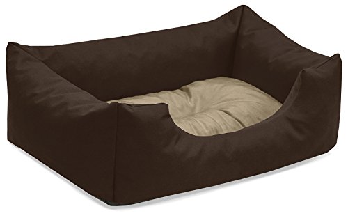 BedDog Hundebett Mimi, Hundesofa aus Cordura, Microfaser-Velours, waschbares Hundebett Vier-eckig mit Rand, Hundekissen für drinnen, draußen, S, braun-beige von BedDog