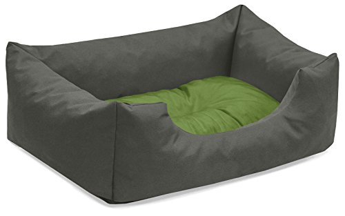 BedDog Hundebett Mimi, Hundesofa aus Cordura, Microfaser-Velours, waschbares Hundebett Vier-eckig mit Rand, Hundekissen für drinnen, draußen, S, grau-grün von BedDog