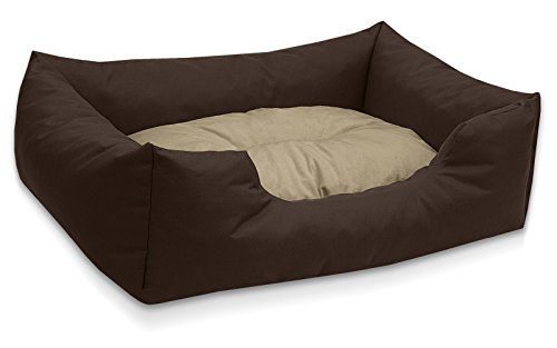 BedDog Hundebett Mimi, Hundesofa aus Cordura, Microfaser-Velours, waschbares Hundebett Vier-eckig mit Rand, Hundekissen für drinnen, draußen, XL, braun-beige von BedDog