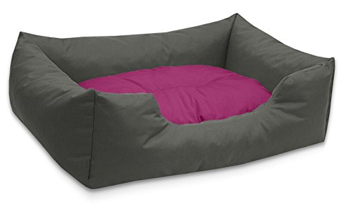 BedDog Hundebett Mimi, Hundesofa aus Cordura, Microfaser-Velours, waschbares Hundebett Vier-eckig mit Rand, Hundekissen für drinnen, draußen, XL, grau-pink von BedDog