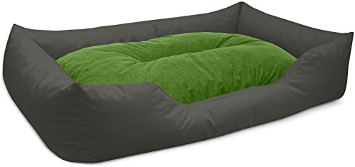 BedDog Hundebett Mimi, Hundesofa aus Cordura, Microfaser-Velours, waschbares Hundebett Vier-eckig mit Rand, Hundekissen für drinnen, draußen, XXXL, grau-grün von BedDog