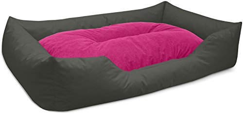 BedDog Hundebett Mimi, Hundesofa aus Cordura, Microfaser-Velours, waschbares Hundebett Vier-eckig mit Rand, Hundekissen für drinnen, draußen, XXXL, grau-pink von BedDog