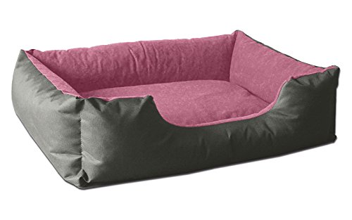 BedDog Hundebett S - Hundekissen - Hundekorb - Hundecouch - Hundesofa - Bezug abziehbar, Waschbar, für Kleine Hunde von BedDog