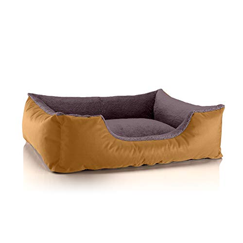 BedDog Hundebett Teddy, Hundesofa aus Cordura und Microfaser-Velours, waschbares Hundebett mit Rand, Hundekissen Vier-eckig, für drinnen, draußen, Größe L, Gold-braun von BedDog