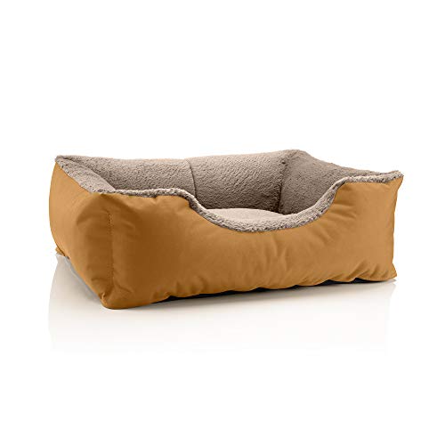 BedDog Hundebett Teddy, Hundesofa aus Cordura und Microfaser-Velours, waschbares Hundebett mit Rand, Hundekissen Vier-eckig, für drinnen, draußen, Größe M, Gold-beige von BedDog