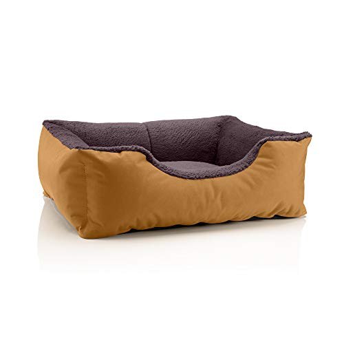 BedDog Hundebett Teddy, Hundesofa aus Cordura und Microfaser-Velours, waschbares Hundebett mit Rand, Hundekissen Vier-eckig, für drinnen, draußen, Größe S, Gold-braun von BedDog