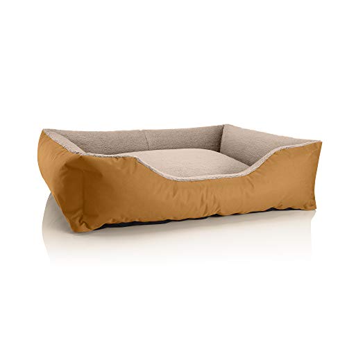 BedDog Hundebett Teddy, Hundesofa aus Cordura und Microfaser-Velours, waschbares Hundebett mit Rand, Hundekissen Vier-eckig, für drinnen, draußen, Größe XL, Gold-beige von BedDog