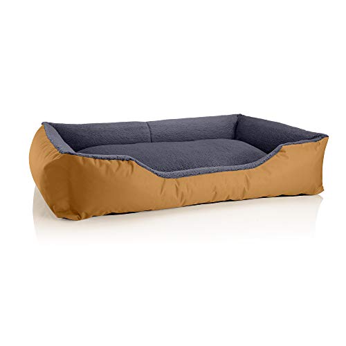 BedDog Hundebett Teddy, Hundesofa aus Cordura und Microfaser-Velours, waschbares Hundebett mit Rand, Hundekissen Vier-eckig, für drinnen, draußen, Größe XXXL, Gold-grau von BedDog