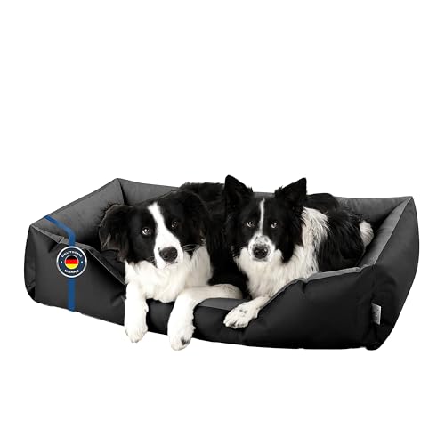 BedDog Hundebett XXL - Hundekissen - Hundekorb - Hundecouch - Hundesofa - Bezug abziehbar, Waschbar, für Mittel-Große Hunde von BedDog