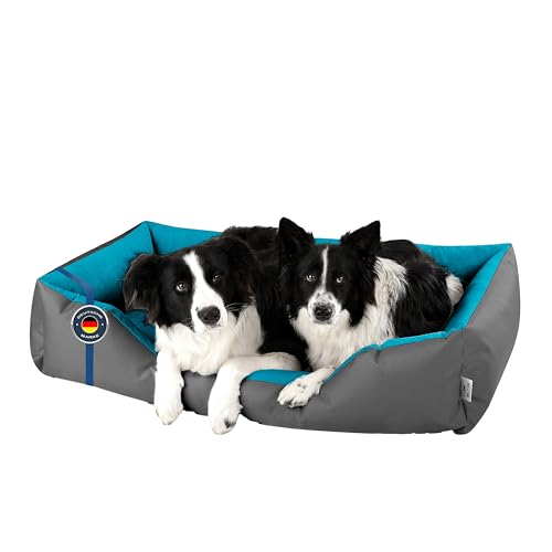 BedDog Hundebett XXL - Hundekissen - Hundekorb - Hundecouch - Hundesofa - Bezug abziehbar, Waschbar, für Mittel-Große Hunde von BedDog