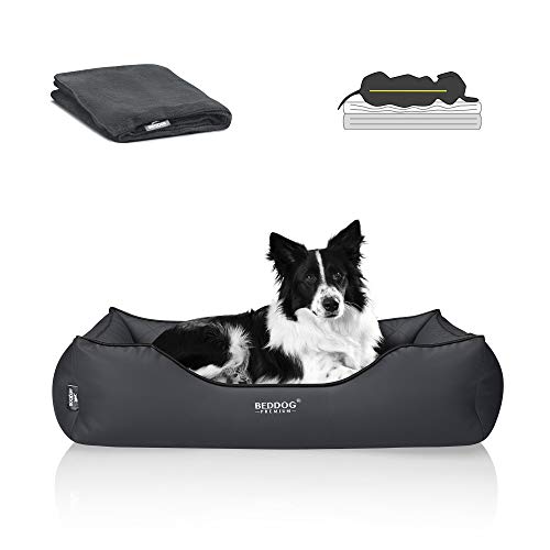 BedDog Premium Orthopädisches Hundebett Buffy, Hundesofa aus Kunstleder, Abnehmbarer Bezug, Kuschel-Decke Zugabe - Anthracite (anthrazit) von BedDog