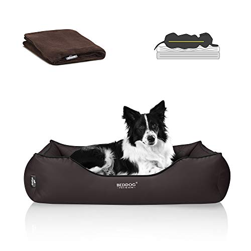 BedDog Premium Orthopädisches Hundebett Buffy, Hundesofa aus Kunstleder, Abnehmbarer Bezug, Kuschel-Decke Zugabe - Chocolate (braun) von BedDog