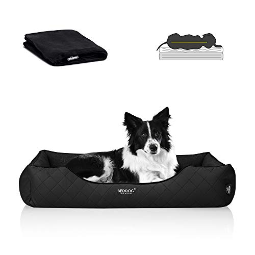 BedDog Premium Orthopädisches Hundebett WUFFI, Hundesofa aus Kunstleder, Abnehmbarer Bezug, Kuschel-Decke Zugabe - Black (schwarz) von BedDog