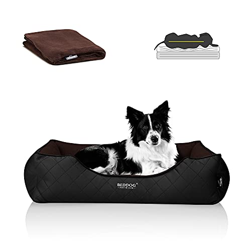 BedDog Premium Orthopädisches Hundebett WUFFI, Hundesofa aus Kunstleder, Abnehmbarer Bezug, Kuschel-Decke Zugabe - Mocca (braun/schwarz) von BedDog