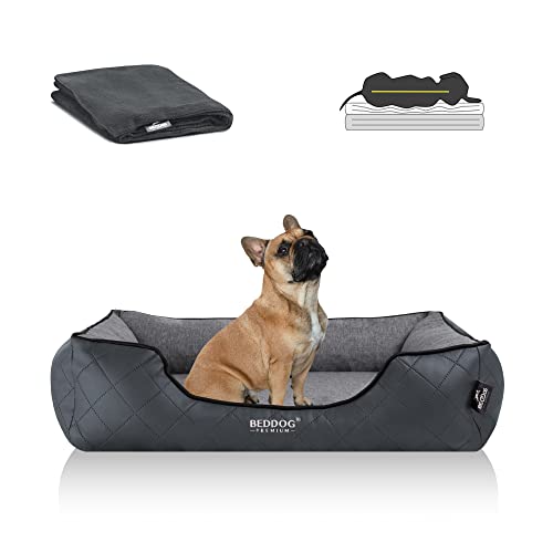 BedDog Premium Orthopädisches Hundebett WUFFI, Hundesofa aus Kunstleder, abnehmbarer Bezug, Kuschel-Decke Zugabe - Rock-FLOW (grau/grau) von BedDog