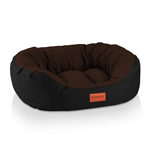 BedDog Hundebett Mittelgroße Hunde - Hundekissen L - Hundekorb - Hundekörbchen - Hundesofa - Hundebetten für Mittelgroße Hunde - Dog Bed - Hunde Bett - Körbchen Hund Alicante-Gewebe von BedDog