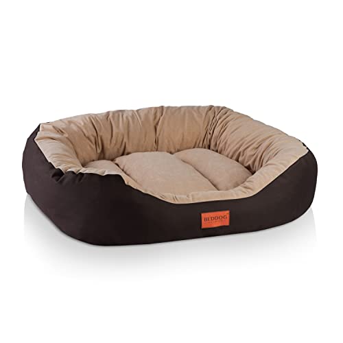 BedDog Hundebett Mittelgroße Hunde - Hundekissen XL - Hundekorb - Hundekörbchen - Hundesofa - Hundebetten für Mittelgroße Hunde - Dog Bed - Hunde Bett - Körbchen Hund Alicante-Gewebe von BedDog