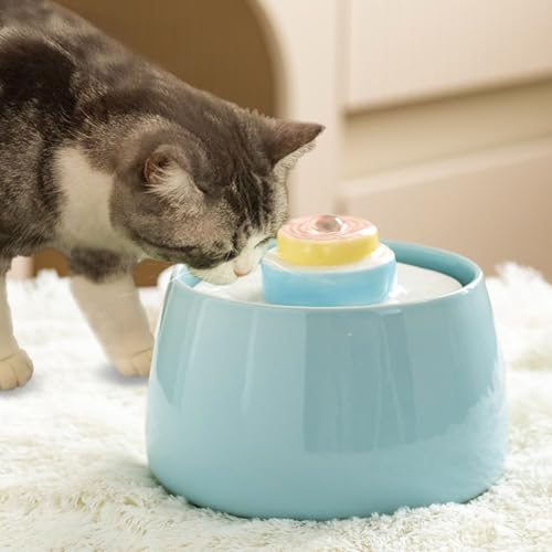 Katzen Trinkbrunnen Keramik, Trinkbrunnen für Hunde Haustier Katzenbrunne rutschfest Automatisch Wasserspender, konzeptiert für Hunde und Katzen (Blauer Kuchen geformter Wasserspender, 1500ML) von Beddingleer