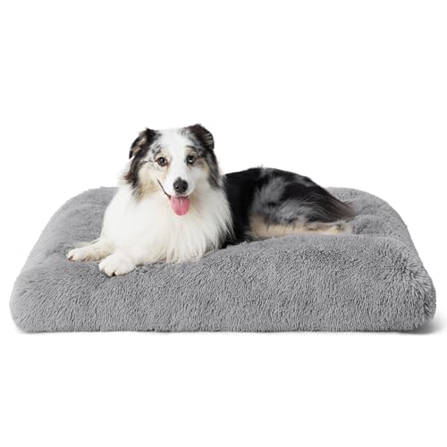 BEDSURE Flauschiges Hundebett Grosse Hunde - 104x74x8 cm Hundebett waschbar für große Hunde, rutschfeste Unterseite, plüsch Hundekissen Grosse Hunde, Hellgrau von BEDSURE