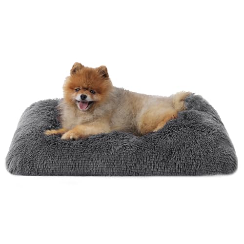 BEDSURE Flauschiges Hundebett Grosse Hunde - 61x45x8 cm Hundebett waschbar für große Hunde, rutschfeste Unterseite, plüsch Hundekissen Grosse Hunde, Dunkelgrau von BEDSURE