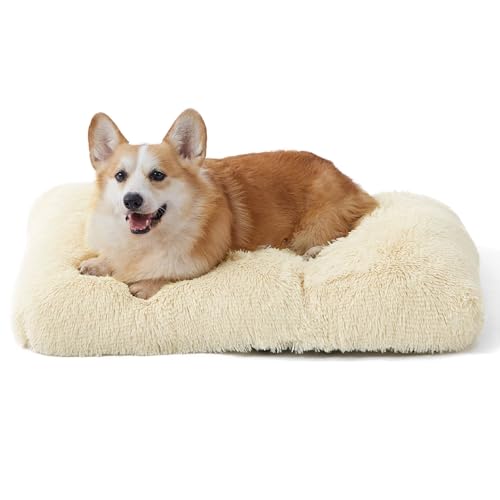 BEDSURE Flauschiges Hundebett Grosse Hunde - 74x53x8 cm Hundebett waschbar für große Hunde, rutschfeste Unterseite, plüsch Hundekissen Grosse Hunde, Beige von BEDSURE