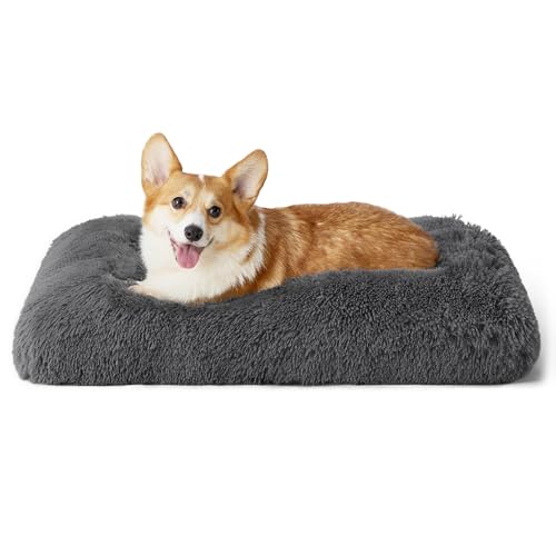 BEDSURE Flauschiges Hundebett Grosse Hunde - 74x53x8 cm Hundebett waschbar für große Hunde, rutschfeste Unterseite, plüsch Hundekissen Grosse Hunde, Dunkelgrau von BEDSURE