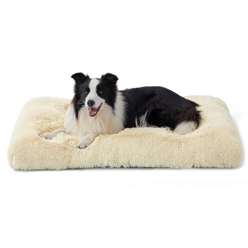 BEDSURE Flauschiges Hundebett Grosse Hunde - 89x58x8 cm Hundebett waschbar für große Hunde, rutschfeste Unterseite, plüsch Hundekissen Grosse Hunde, Beige von BEDSURE