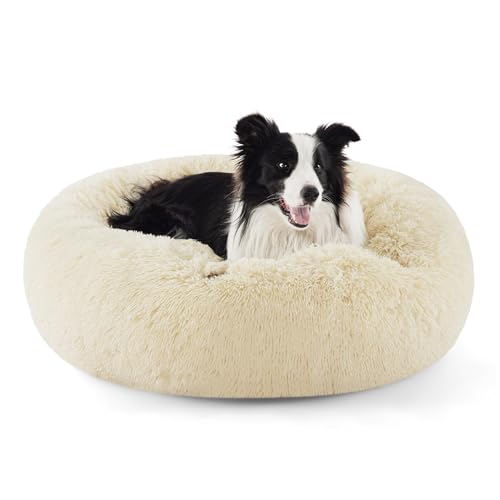 BEDSURE Hundebett waschbar Flauschiges Hundebett - Ø 91 cm Donut Hundebett für große Hunde, plüsch Hundebett rund Kuschelbett, Hafermilch von BEDSURE