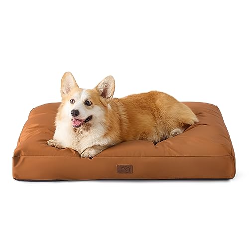 Bedsure Hundekissen kleine Hunde waschbar - 76x50cm Hundebett wasserdicht M für kleine, mittelgroße Hunde gepolstert Hundematte Tonbraun in 10cm Höhe von BEDSURE