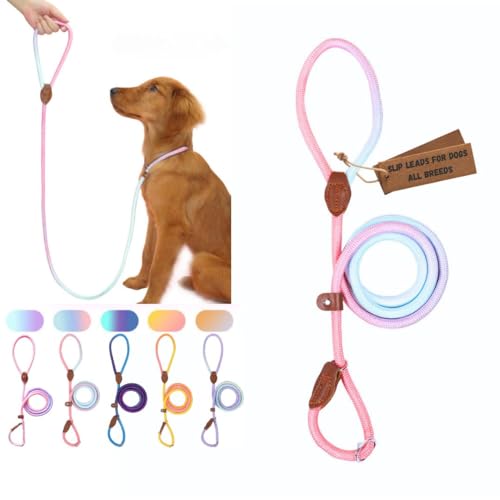 Retrieverleine für Hunde, strapazierfähig, kein Ziehen, bequem, starkes Schlaufenseil, Nylon, für große, mittelgroße und kleine Hunde, Welpen (Pink und Blau, Größe S (1,5 m x 1,9 cm) von Bee N Buu