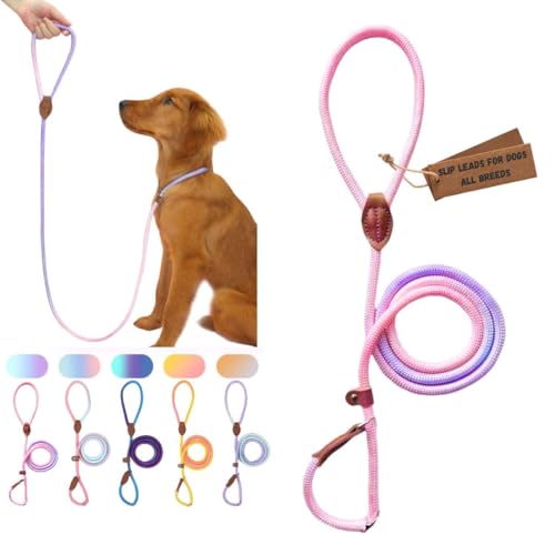 Retrieverleine für Hunde, strapazierfähig, kein Ziehen, bequem, starkes Schlaufenseil, Nylon, für große, mittelgroße und kleine Hunde, Welpen (Pink und Violett, Größe L (1,5 m x 1,6 cm) von Bee N Buu