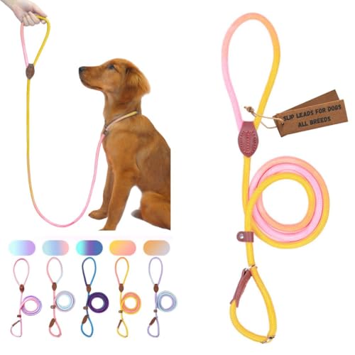 Retrieverleinen für Hunde, strapazierfähig, kein Ziehen, bequem, starkes Schlaufenseil, Nylon für große, mittelgroße und kleine Hunde, Welpen (Rosa und Gelb, Größe XL (1,5 m x 1,27 cm) von Bee N Buu