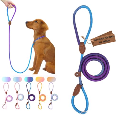 Retrieverleinen für Hunde, strapazierfähig, kein Ziehen, bequem, starkes Schlaufenseil, Nylon für große, mittelgroße und kleine Hunde, Welpen (Violett und Blau, Größe S (1,5 m x 1,9 cm) von Bee N Buu