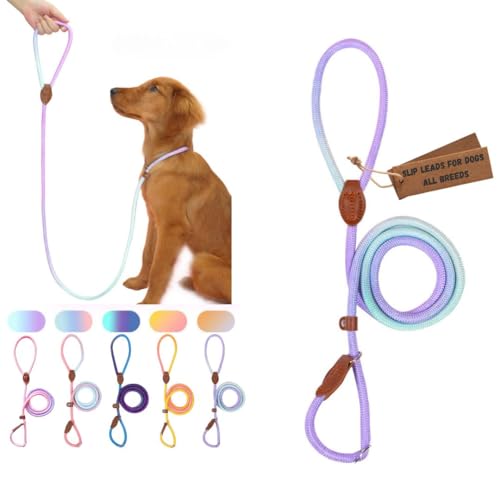 Retrieverleinen für Hunde, strapazierfähig, kein Ziehen, bequem, starkes Schlaufenseil, Nylon für große, mittelgroße und kleine Hunde, Welpen (lila und grün, Größe L (1,5 m x 1,6 cm) von Bee N Buu