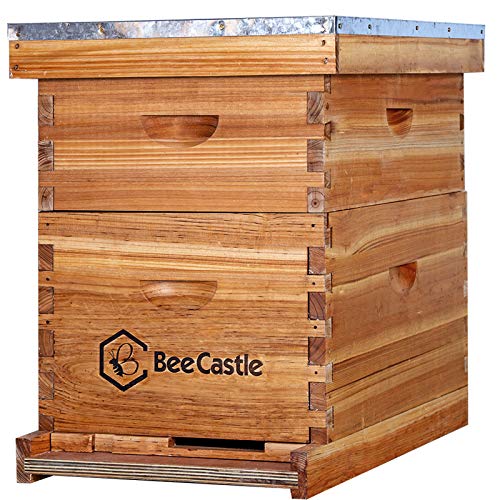 Bienenenstock mit 10 Rahmen, gewachst, inkl. Rahmen und Bienenenwachs-beschichtete Grundierung, 1 Tiefe Box, 1 mittlere Box von BeeCastle