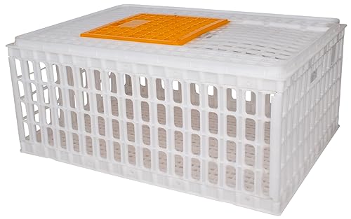 Beeketal 'GBB-1' Geflügel Transportbox mit Schiebetür und Transportgriffen - Transportkiste aus robustem Kunststoff zum Transport von Geflügel und Kleintieren - (L/B/H): ca. 730 x 540 x 320 mm von Beeketal