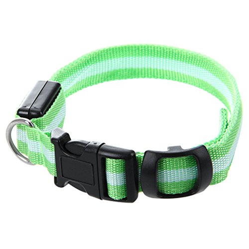 Glow LED-Halsband für Katzen und Hunde, blinkend, Sicherheitshalsband, Grün, Größe S von Beelooom