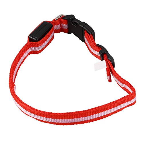 Glow LED-Halsband für Katzen und Hunde, blinkend, Sicherheitshalsband, Rot, Größe M von Beelooom