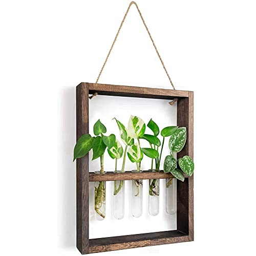 Wandmontierte HäNgepflanzen Reagenzglas BlüTenknospe Glasterrarium Holzrahmen für Hausgarten Hochzeitsdekoration von Beelooom
